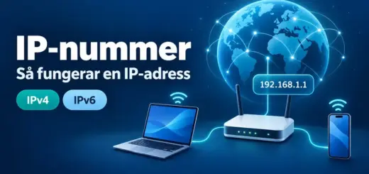 Illustration av en router som kopplar en dator och en mobil till internet, med IP-adressen 192.168.1.1 och beteckningarna IPv4 och IPv6.